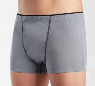 boxer gris de profil